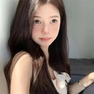 警花燕子